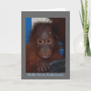 Carte Bonjour de la photo d'orang-outan de l'Indonésie