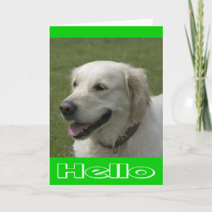 Carte Bonjour, En Pensant À Vous Golden Retriever Puppy 