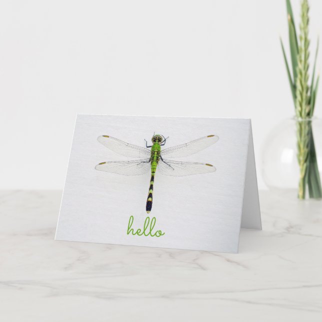Carte Bonjour et Salut avec Dragonfly sur Wall Outhouse (Devant)