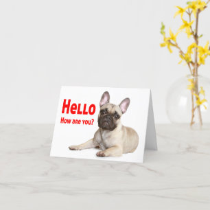 Carte Bonjour Français Chien de Chien de Chien de Chien 
