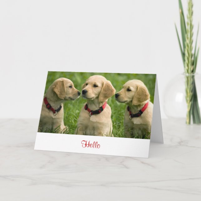 Carte Bonjour Golden Retriever Puppies Blu Note Card (Devant)