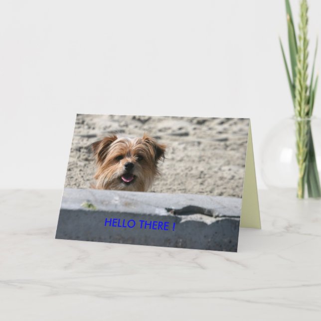 CARTE BONJOUR LÀ ! (Devant)