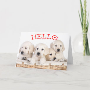 Carte Bonjour White Labrador Retriever Chien Chien Chien