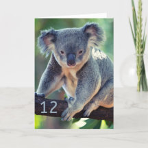 Bonne 12e anniversaire Australian Koala Greeting C