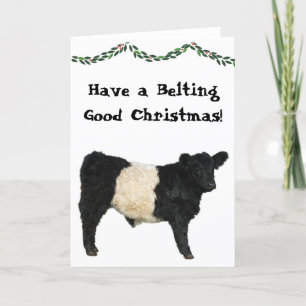 Carte Bonne fête de Noël Vache Galloway à courroie Belti