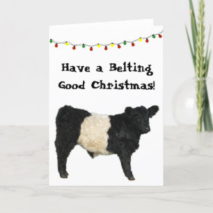 Carte Bonne fête de Noël Vache Galloway à courroie Belti