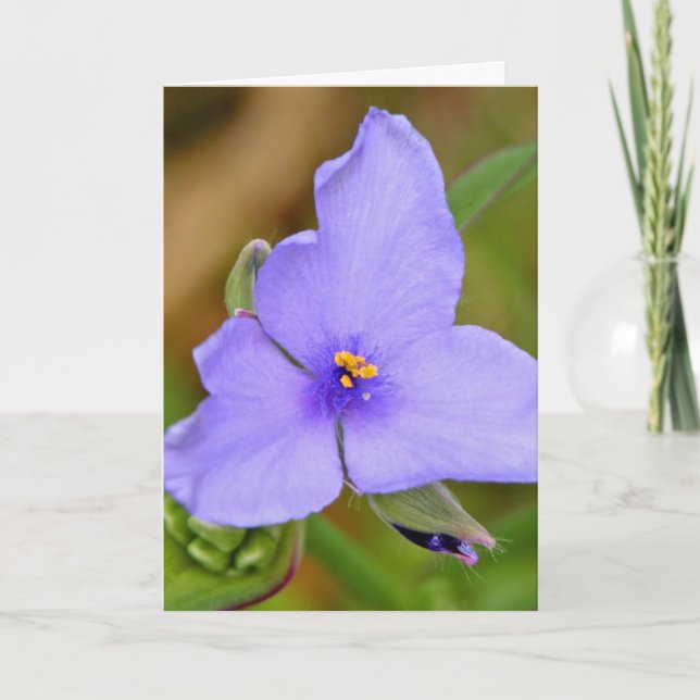 Carte Bonne fête des mères ! (Devant)