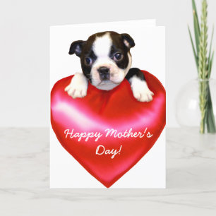 Carte Bonne fête des mères Boston Terrier Card