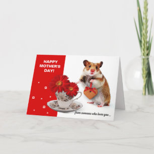 Carte Bonne fête des mères. Funny Hamster personnalisé
