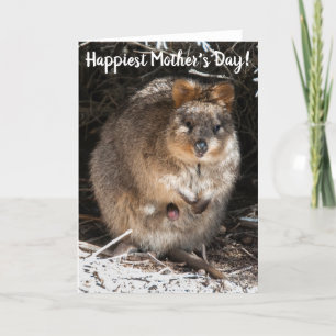 Carte Bonne fête des mères Quokka Australie
