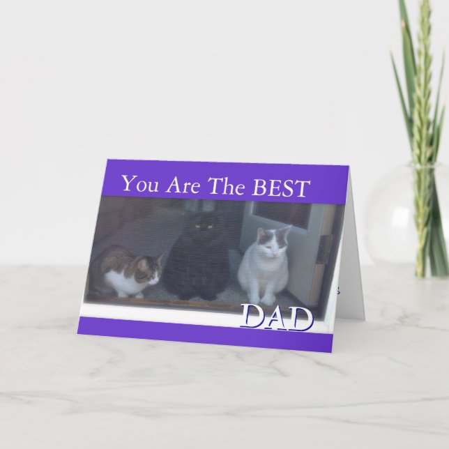 Carte Bonne Fête des pères aux chats (Devant)