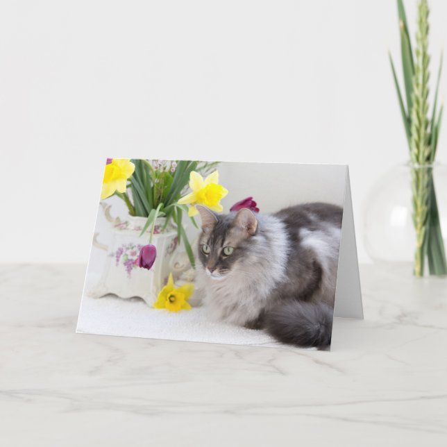 Carte Bonne fête nationale des frères et soeurs ! (Devant)