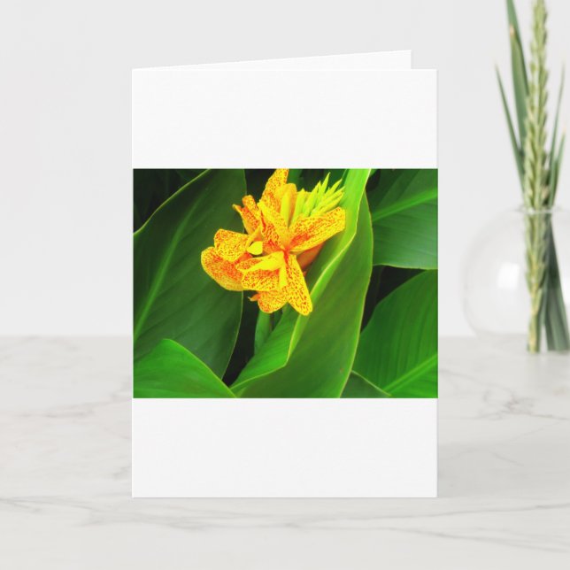 Carte Bonne nuit !. (Devant)