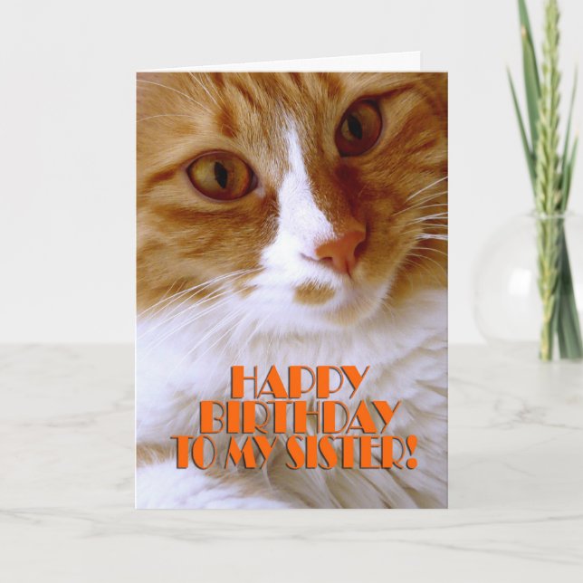 Carte Bonne Soeur d'anniversaire - Chat doux (Devant)