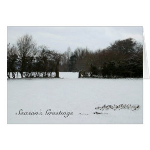 Carte Bonnes Fêtes Snowscape