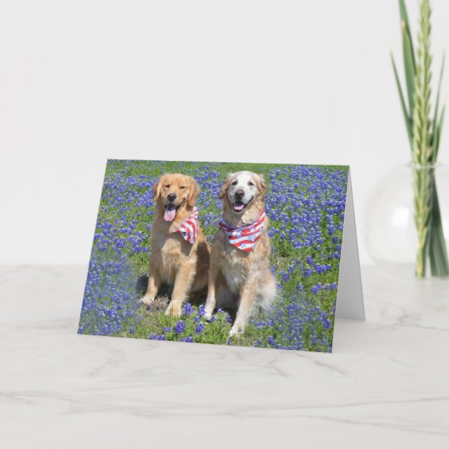 Carte Bonnet Bleu Golden Retriever (Devant)