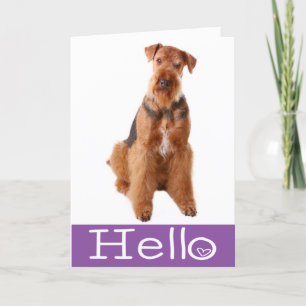Carte Bonsoir Airedale Puppy Dog Purple Card - Verso