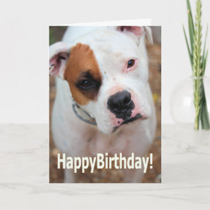 Carte Boop d'anniversaire