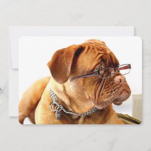 Carte Bordeaux Mastiff, poison de French Mastiff Bordeau