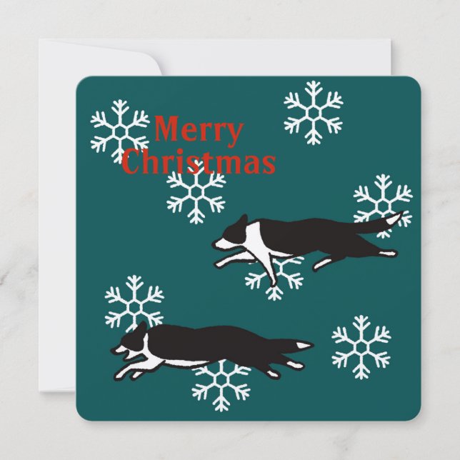 Carte Border collie Christmas card カード (Devant)