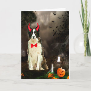 Carte Bordure Collie Chien dans le costume d'Halloween