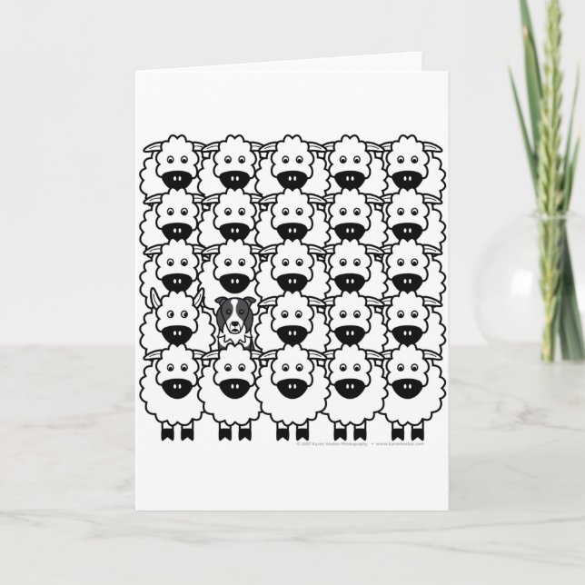 Carte Bordure Collie dans le mouton (Devant)