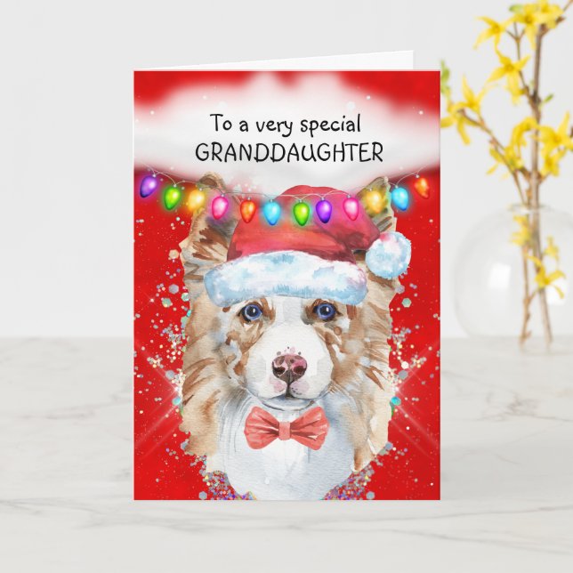 Carte Bordure Collie petite-fille Noël voeux Père Noël (Fleur jaune)