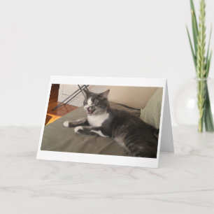 Carte Boris le mignon numéro Kitty Salutation
