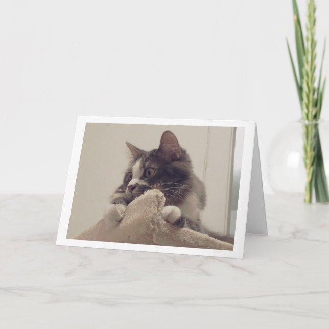 Carte Boris le mignon numéro Kitty Salutation (Devant)