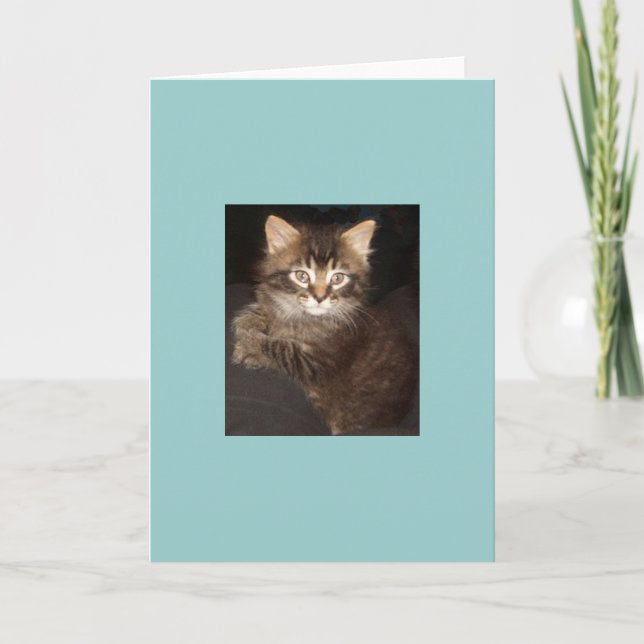 Carte Bosco (Devant)