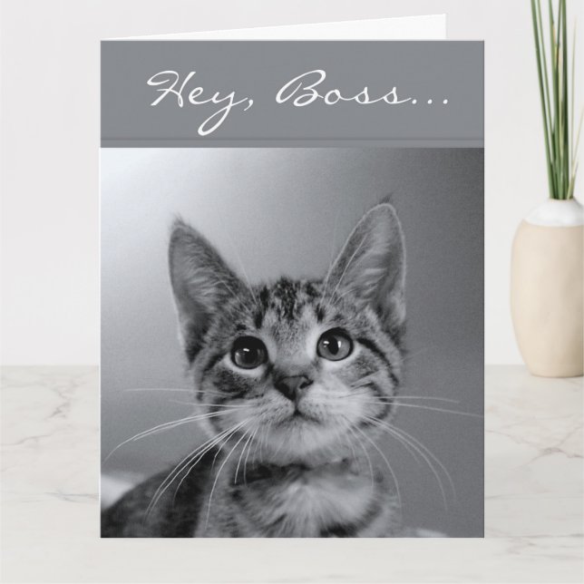 Carte Boss, Have a PURR-fectly MEOW-velous Birthday ! (Devant)