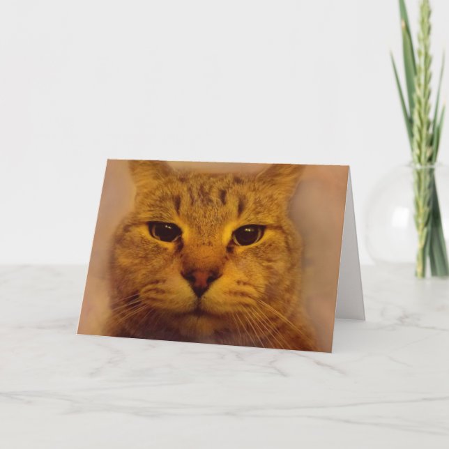 Carte Bossy Impatient Chat S'En Sortir Bien (Devant)