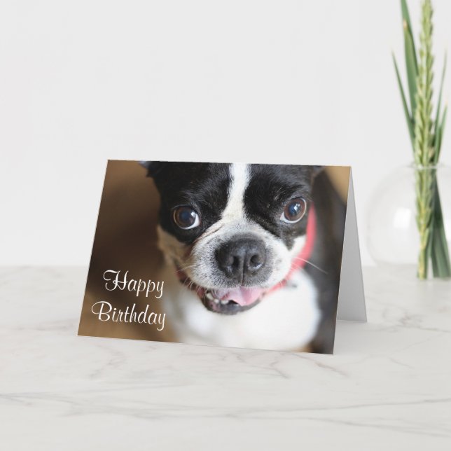 Carte Boston Terrier (Devant)