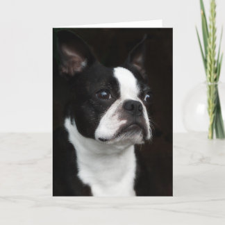 Carte Boston Terrier