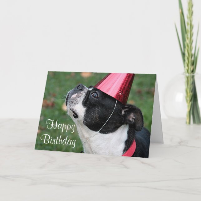 Carte Boston Terrier avec un voeu d'anniversaire (Devant)