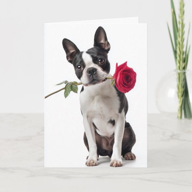Carte Boston Terrier Valentine – Dapper Love (Devant)