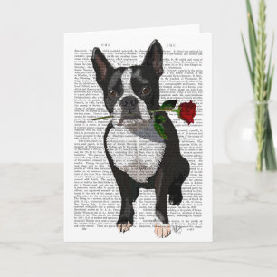 Carte Boston Terrier with Rose in Mouth