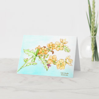 Carte Botanical watercolor wildflower globemallow