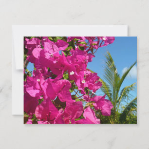 Carte Bougainvilliers et palmiers paysage tropical
