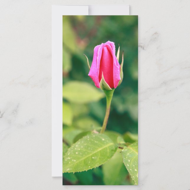 Carte Boule rose (Devant)