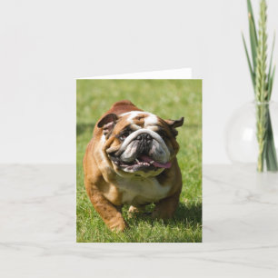 Carte Bouledogue heureux fonctionnant dans l'herbe