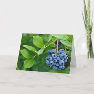 Carte bouquet de bleuets sur buisson