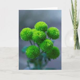 Carte Bouquet de Fleurs Santini Chrysanthème Vert