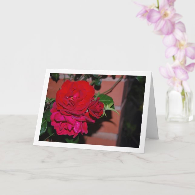 Carte Bouquet de roses rouges (Orchidée)