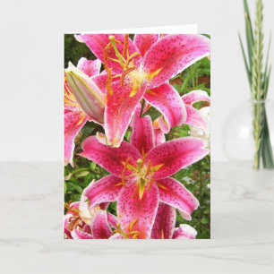 Carte Bouquet de Stargazer