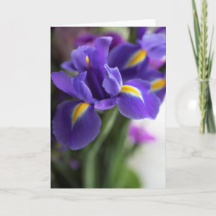 Carte Bouquet Fleur Iris Bleu