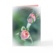Bourgeons de rose rose