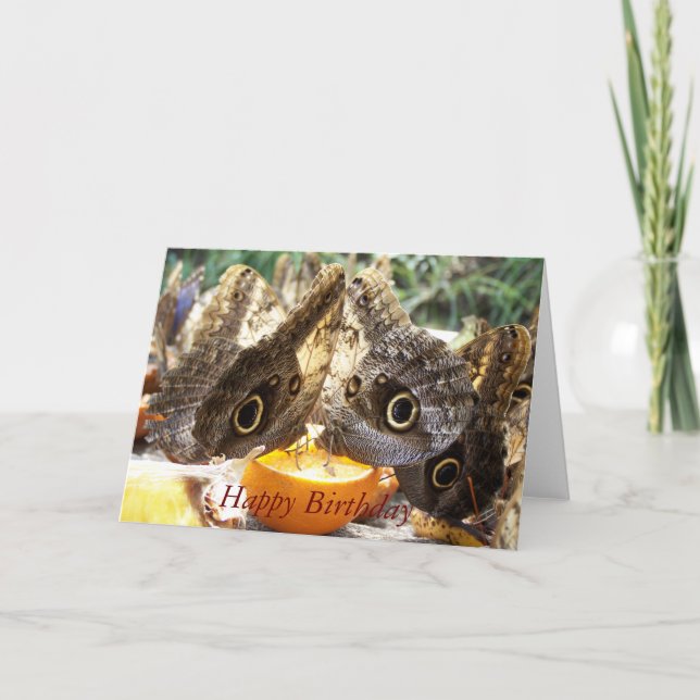 CARTE BOUTEILLES (Devant)