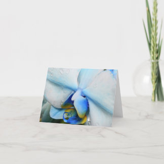 Carte Boutons sur l'orchidée bleue