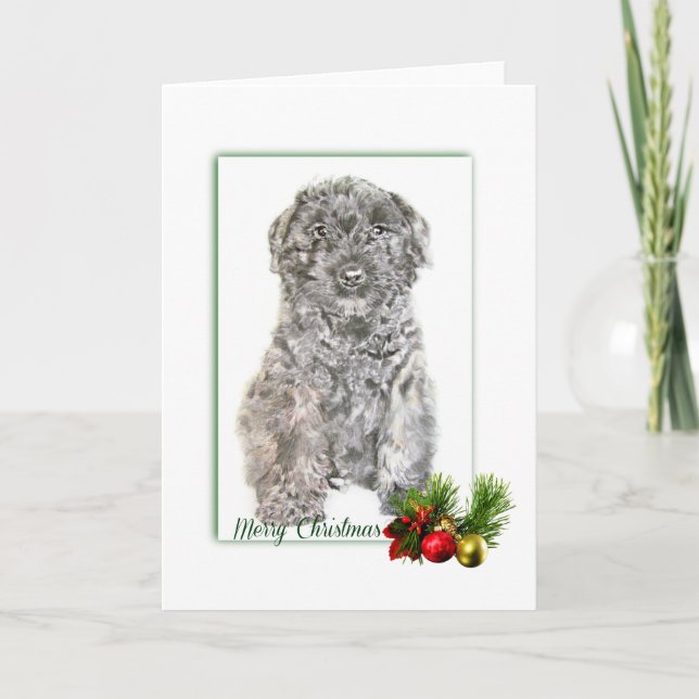 Carte Bouvier des Flandres (Devant)